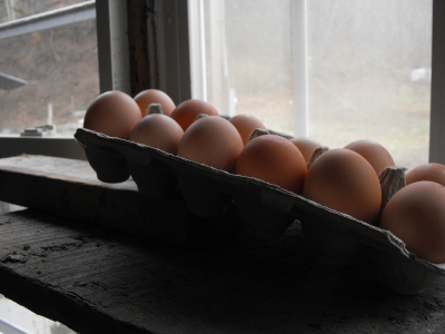 Storing eggs for incubation