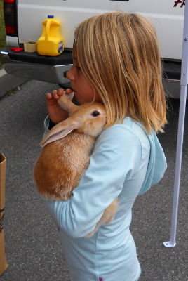 Tractor hotsell supply rabbits