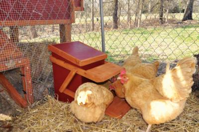 Treadle Chicken Feeder Avian Aqua Miser