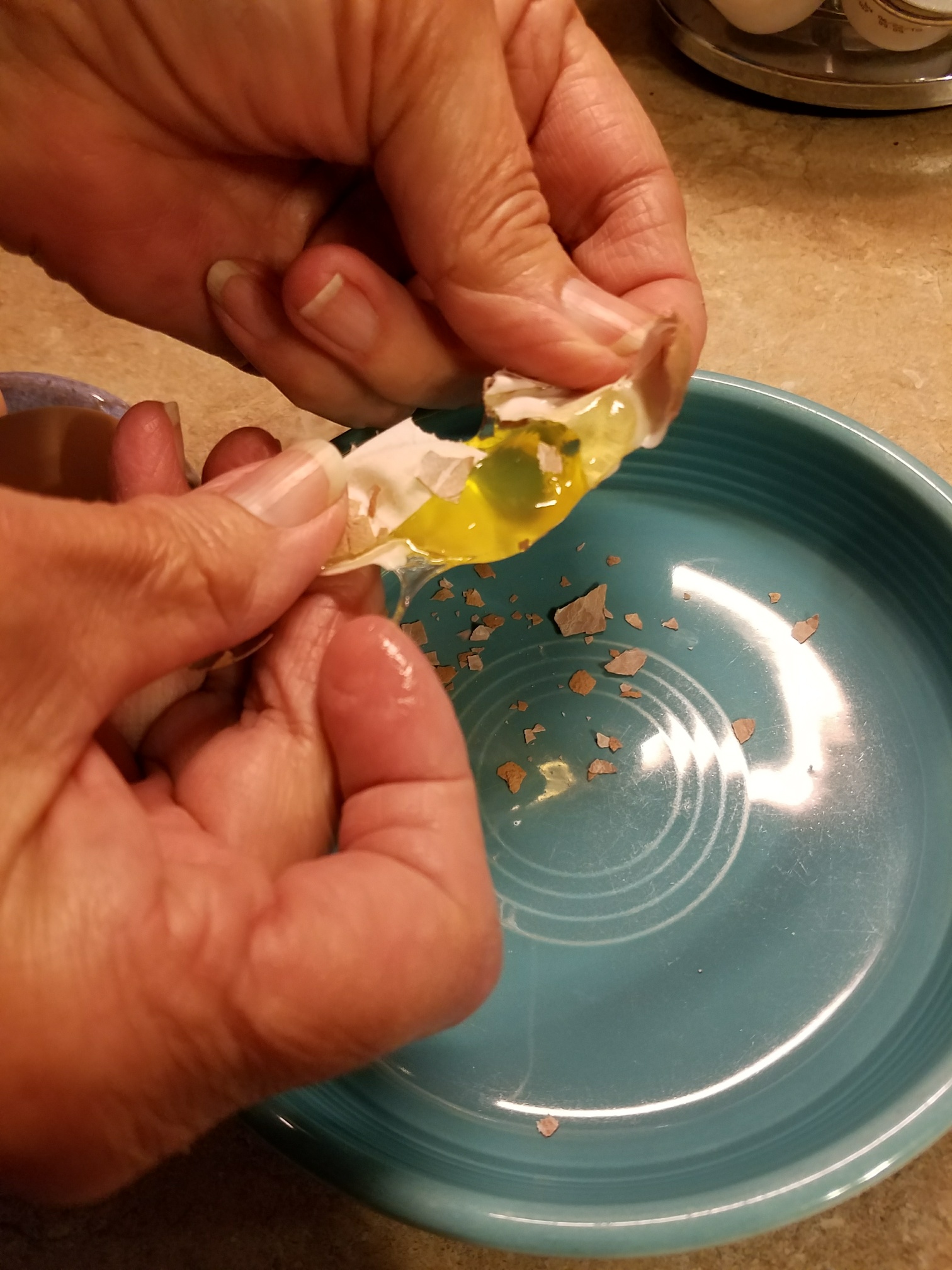 Green Eggs: The Secret Of The Avian Emerald Enigma